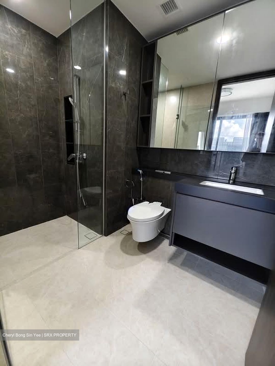 Parc Clematis (D5), Apartment #550711861